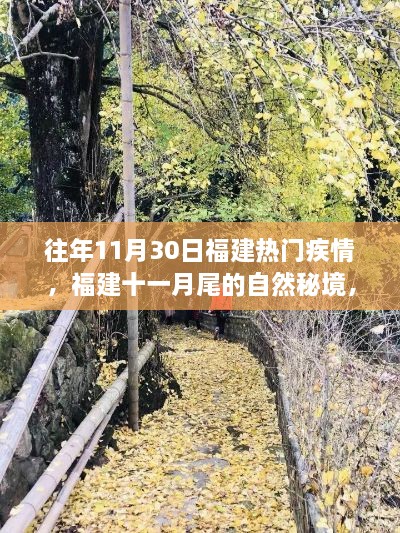 福建十一月尾自然秘境的心灵之旅，历年疫情下的热门探索之旅