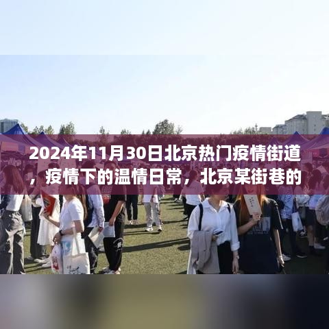 北京疫情街道的秋日记忆，温情日常在疫影下的某街巷（2024年11月30日）