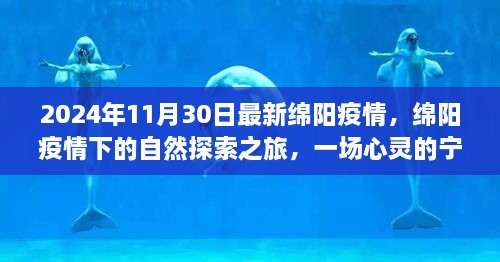 绵阳疫情下的自然探索之旅，心灵宁静之旅的最新篇章（2024年11月30日）