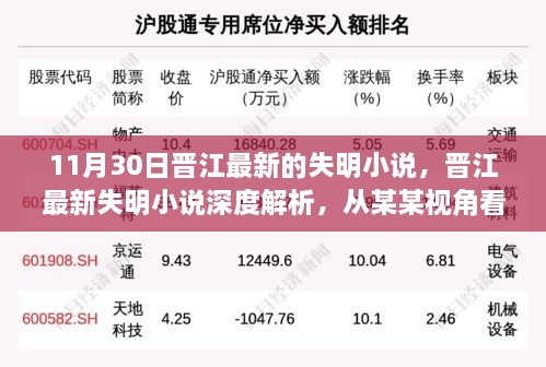 晋江最新失明小说解析，从独特视角探索深度价值，11月30日独家解读