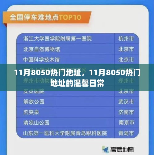 11月8050热门地址的温馨日常探索