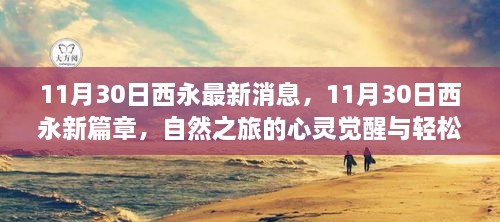 11月30日西永最新动态，自然之旅的心灵觉醒与启程新篇章