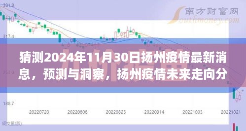 2024年11月30日扬州疫情最新预测与洞察，未来走向分析