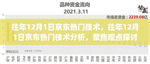 京东历年12月1日热门技术分析，聚焦观点探讨