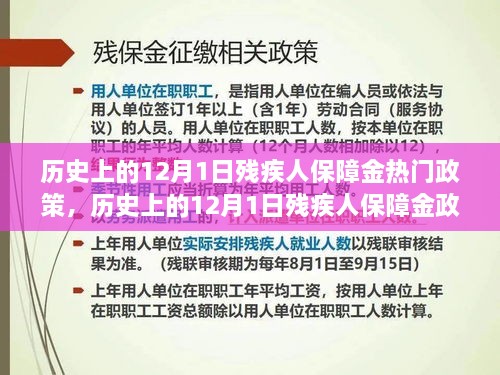 历史上的12月1日残疾人保障金政策演变全解析，残疾人权益保障之路的深入探索