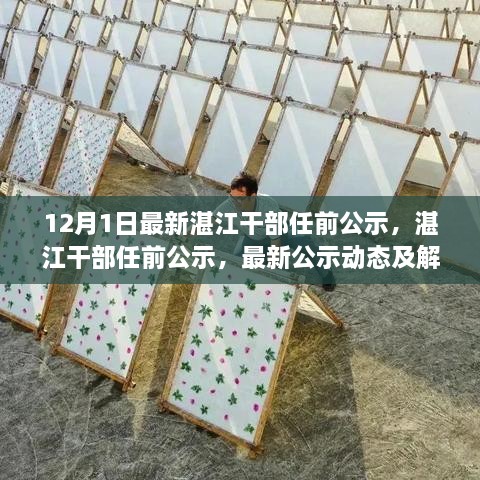 湛江干部最新任前公示动态及解读