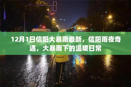 信阳大暴雨下的温暖日常与雨夜奇遇（最新消息）