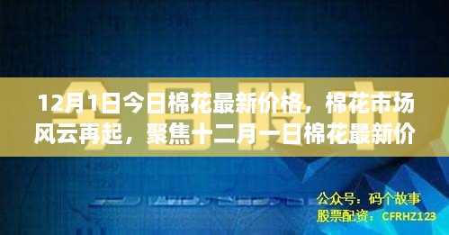 聚焦棉花市场风云，十二月一日棉花最新价格动态