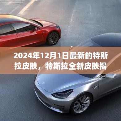 特斯拉全新皮肤揭秘，科技之光闪耀未来（2024年12月版）