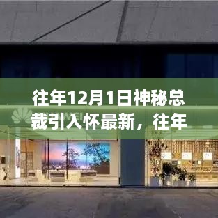 往年12月1日神秘总裁引入怀，详细步骤指南与最新动态