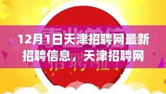 天津招聘网最新招聘信息概览，岗位概览与影响（12月1日更新）