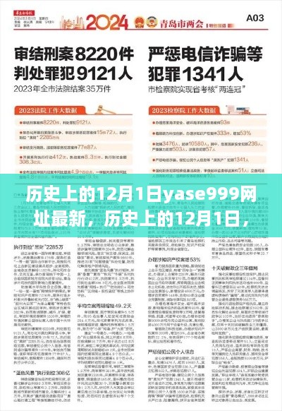 警惕网络犯罪风险，历史上的12月1日探寻与最新yase999网址曝光