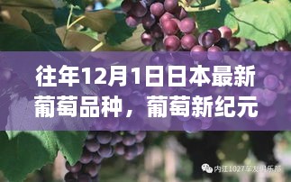 日本葡萄新品种之旅，从学习变化到自信成就，探寻葡萄新纪元的励志之旅