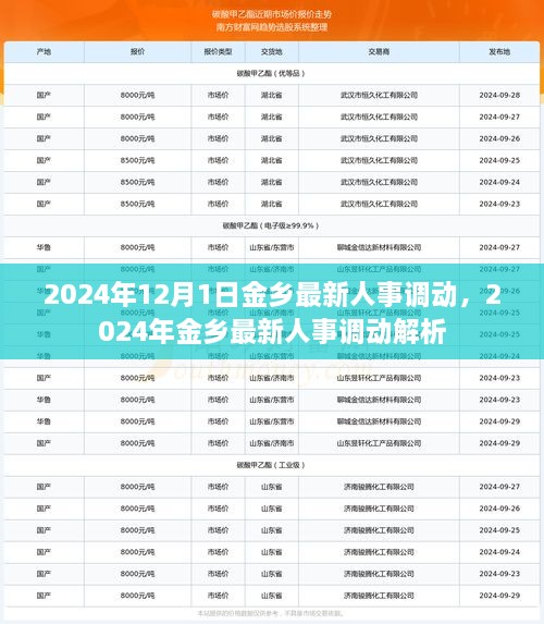 2024年金乡人事调动最新动态解析