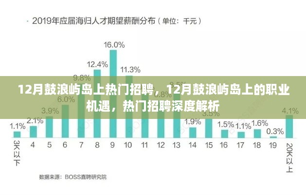 12月鼓浪屿岛上的职业机遇，热门招聘深度解析