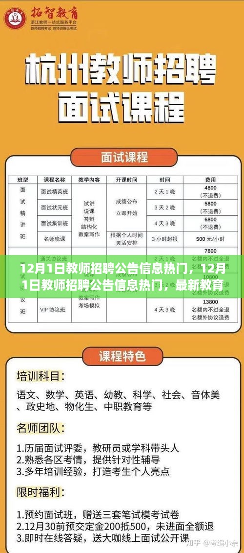 12月1日教师招聘公告信息热门，最新教育职业机会探索与招聘动态