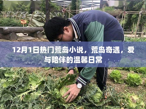 荒岛奇遇，爱与陪伴的温馨日常，热门荒岛小说盘点（12月1日）