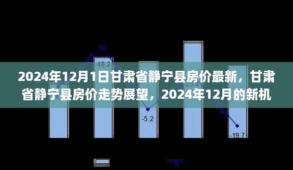 甘肃省静宁县房价最新动态及未来走势展望，新机遇与挑战下的房价展望（2024年12月）