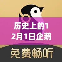 2024年12月2日 第13页