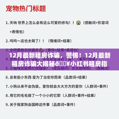 警惕！揭秘最新租房诈骗，小红书租房指南助你避雷避坑