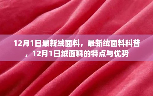 12月1日最新绒面料科普，特点与优势详解