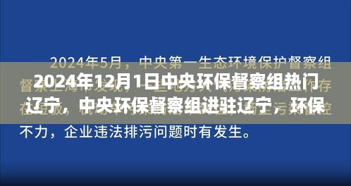 中央环保督察组进驻辽宁，环保行动指南与参与步骤详解（附时间节点）