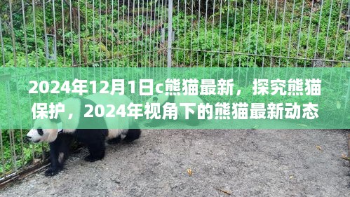 2024年视角下的熊猫最新动态与保护观点思考