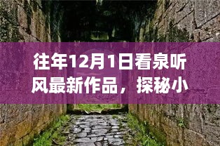 泉听风最新作品赏析之旅，探秘小巷深处的独特风味