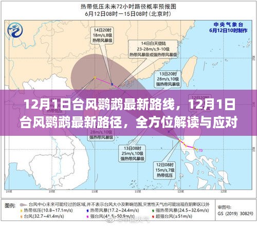 台风鹦鹉最新路径解读与应对指南，全方位解读与行动建议（12月1日更新）