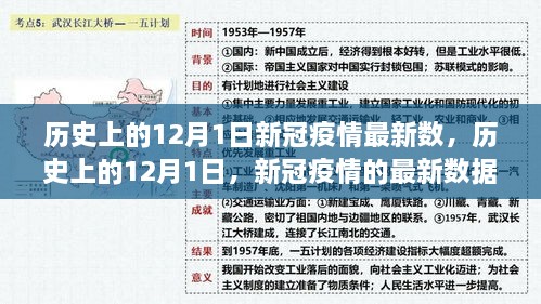 历史上的12月1日，新冠疫情背后的励志故事与希望之光