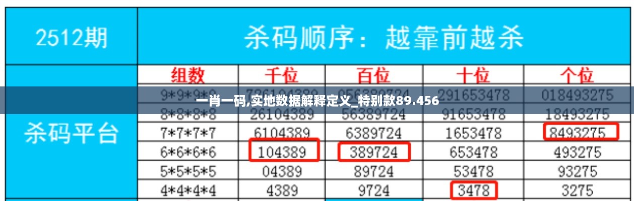 一肖一码,实地数据解释定义_特别款89.456