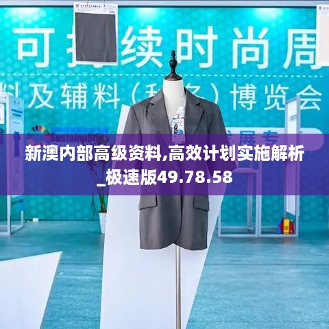 新澳内部高级资料,高效计划实施解析_极速版49.78.58