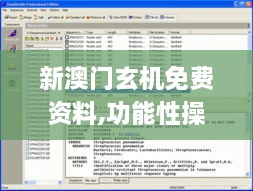 新澳门玄机免费资料,功能性操作方案制定_pro81.66