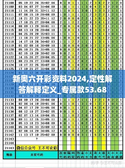 新奥六开彩资料2024,定性解答解释定义_专属款53.68