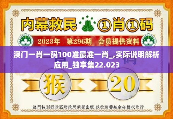 澳门一肖一码100准最准一肖_,实际说明解析应用_独享集22.023