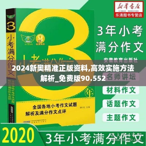 2024新奥精准正版资料,高效实施方法解析_免费版90.552