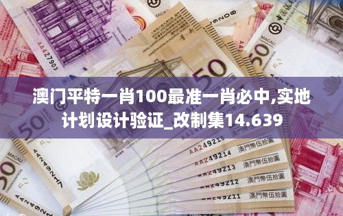 澳门平特一肖100最准一肖必中,实地计划设计验证_改制集14.639