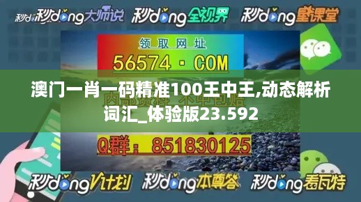 澳门一肖一码精准100王中王,动态解析词汇_体验版23.592