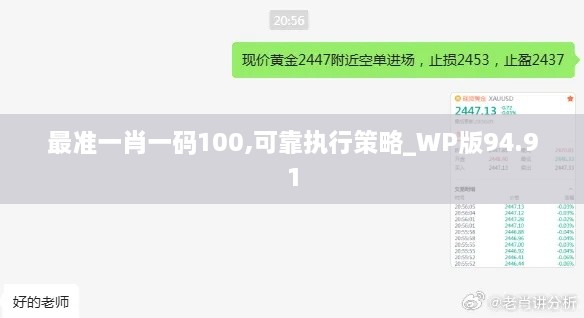 最准一肖一码100,可靠执行策略_WP版94.91