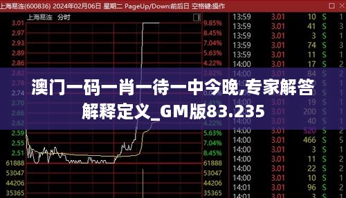 澳门一码一肖一待一中今晚,专家解答解释定义_GM版83.235