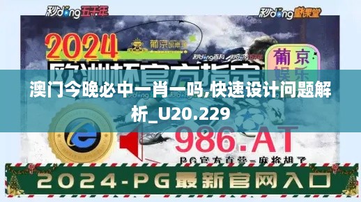 澳门今晚必中一肖一吗,快速设计问题解析_U20.229