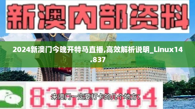 2024新澳门今晚开特马直播,高效解析说明_Linux14.837