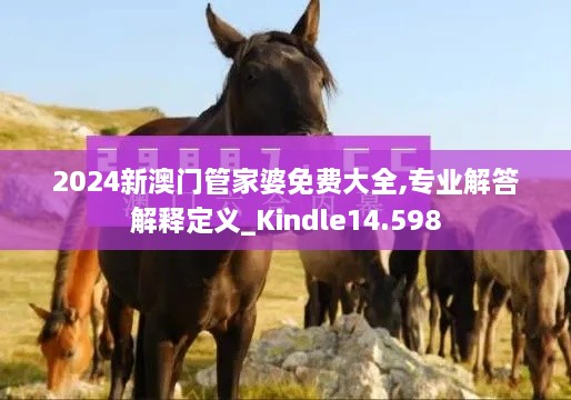 2024新澳门管家婆免费大全,专业解答解释定义_Kindle14.598