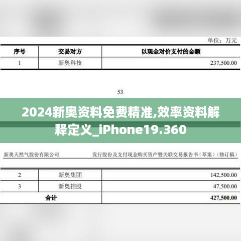 2024新奥资料免费精准,效率资料解释定义_iPhone19.360