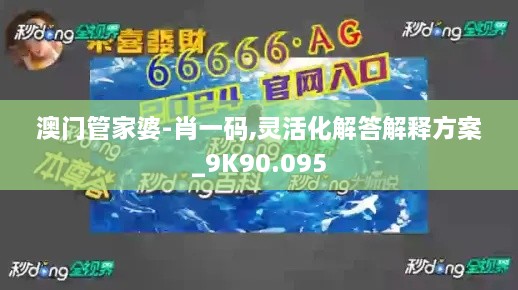 澳门管家婆-肖一码,灵活化解答解释方案_9K90.095