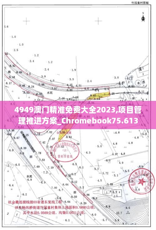 4949澳门精准免费大全2023,项目管理推进方案_Chromebook75.613