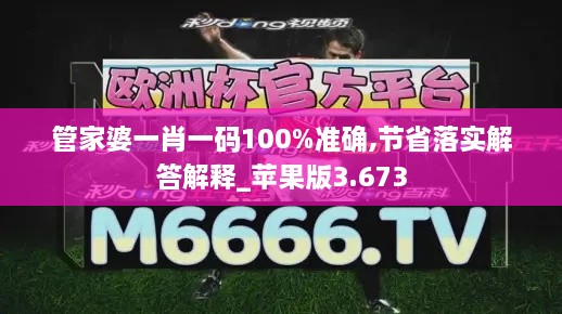 管家婆一肖一码100%准确,节省落实解答解释_苹果版3.673