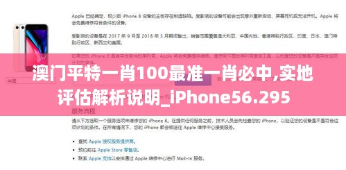 澳门平特一肖100最准一肖必中,实地评估解析说明_iPhone56.295