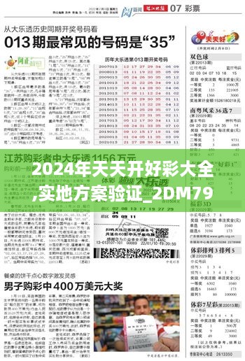 2024年天天开好彩大全,实地方案验证_2DM79.96