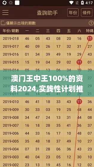 澳门王中王100%的资料2024,实践性计划推进_轻量版34.776